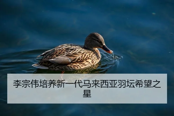 李宗伟培养新一代马来西亚羽坛希望之星